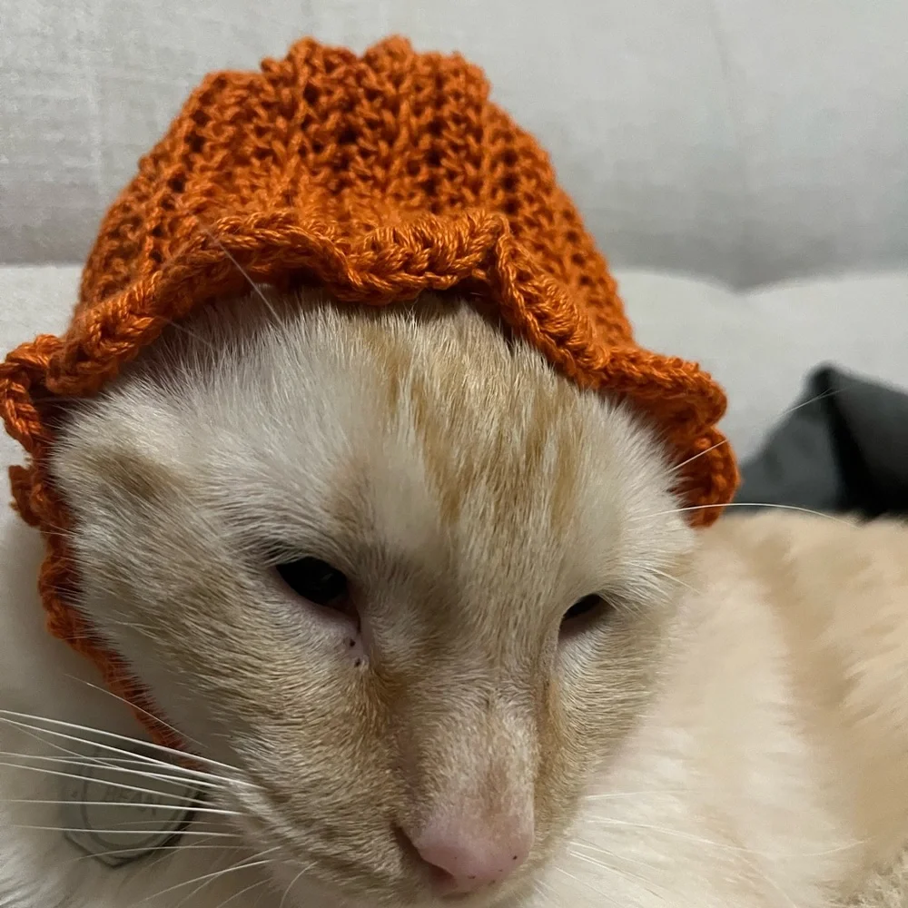 Custom crochet pet or baby hat!